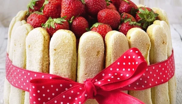 Charlotte aux fraises au Companion