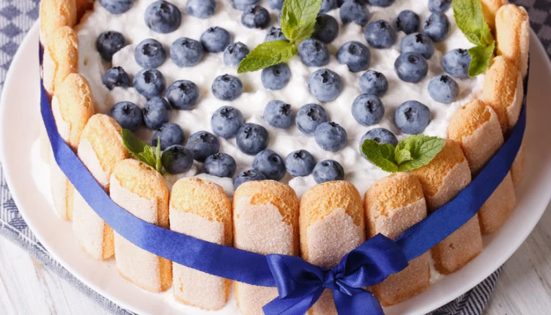 Charlotte aux myrtilles