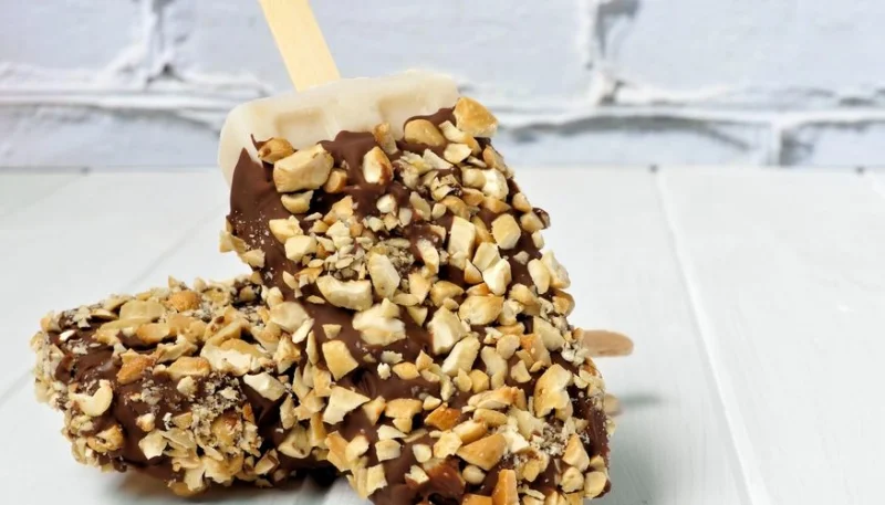 Esquimaux maison façon Magnum