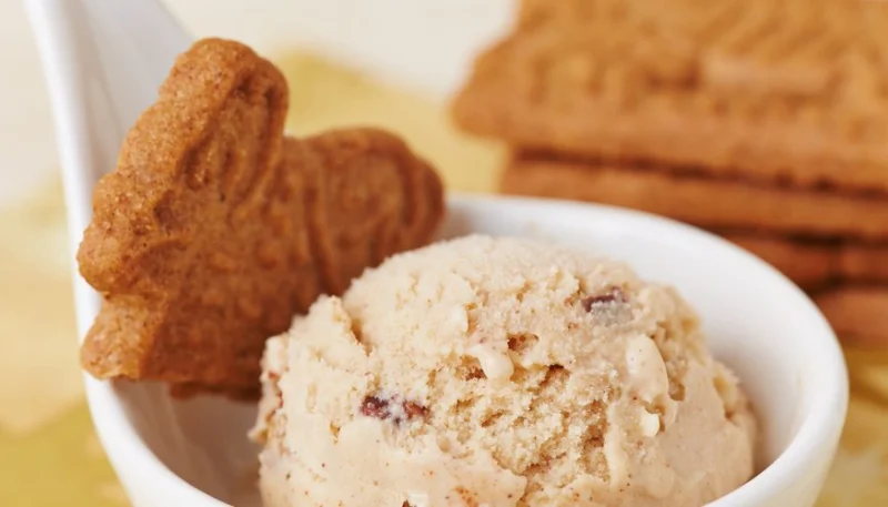 Glace aux spéculoos sans sorbetière