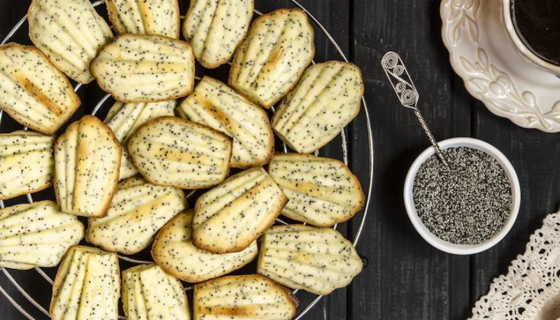 Madeleines au citron et graines de pavot