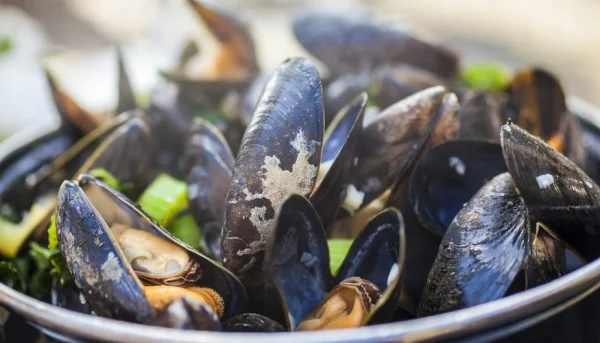 Moules en sauce crémeuse au yaourt grec