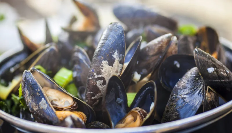 Moules en sauce crémeuse au yaourt grec