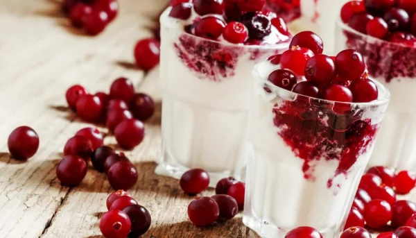 Mousse de fromage blanc aux groseilles