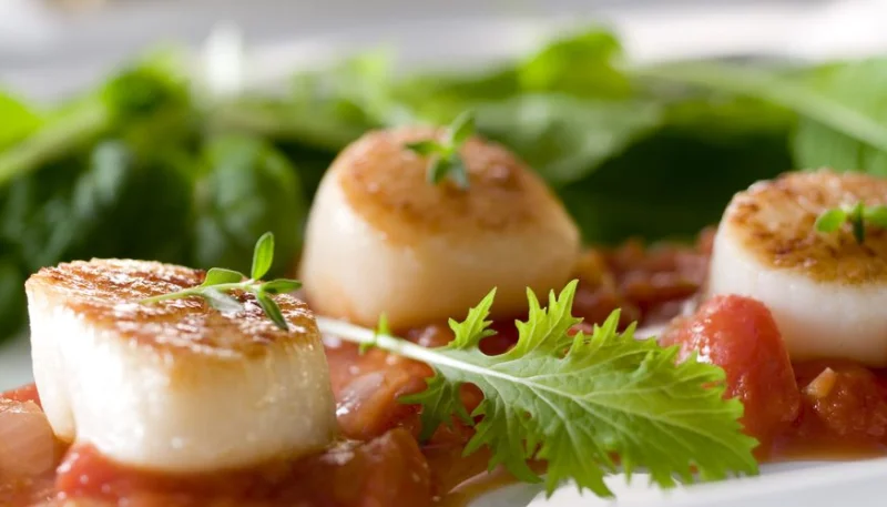 Noix de Saint Jacques à la provençale