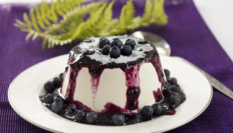 Panna cotta aux myrtilles