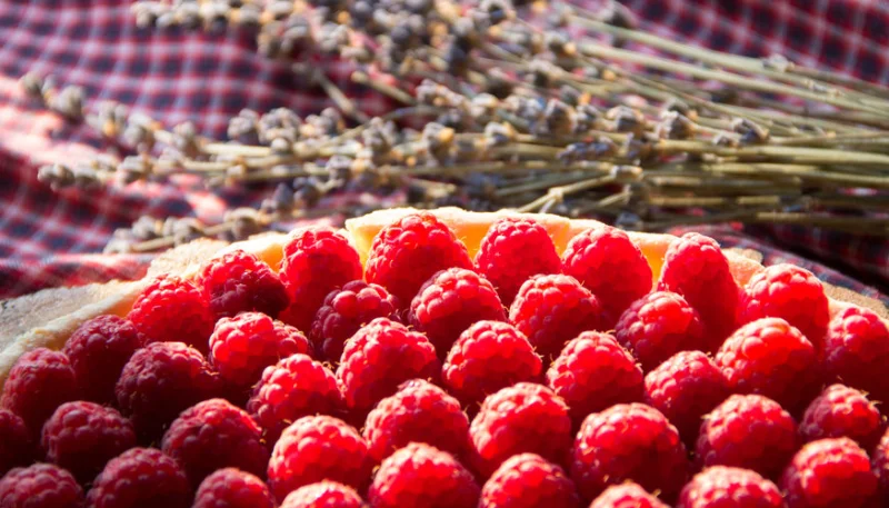 Tarte aux framboises