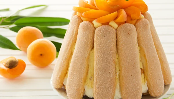 Charlotte aux abricots