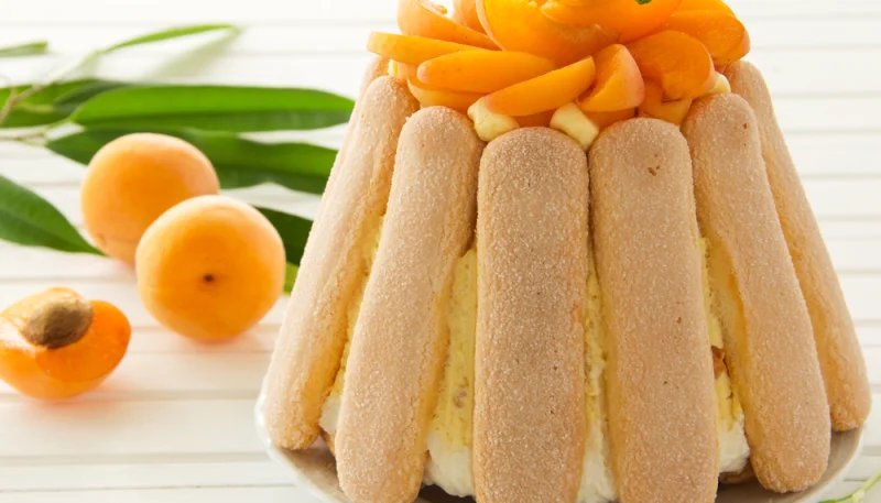 Charlotte aux abricots