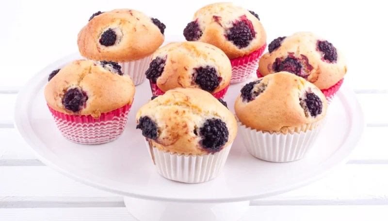 Muffins aux mûres
