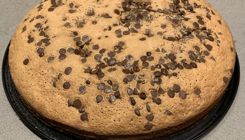 Gâteau au yaourt sans lait et pépites de chocolat