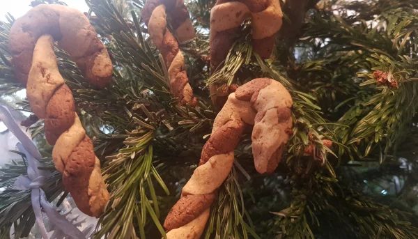 Cannes à sucre en biscuit sans gluten
