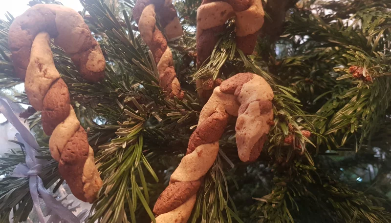 Cannes à sucre en biscuit sans gluten