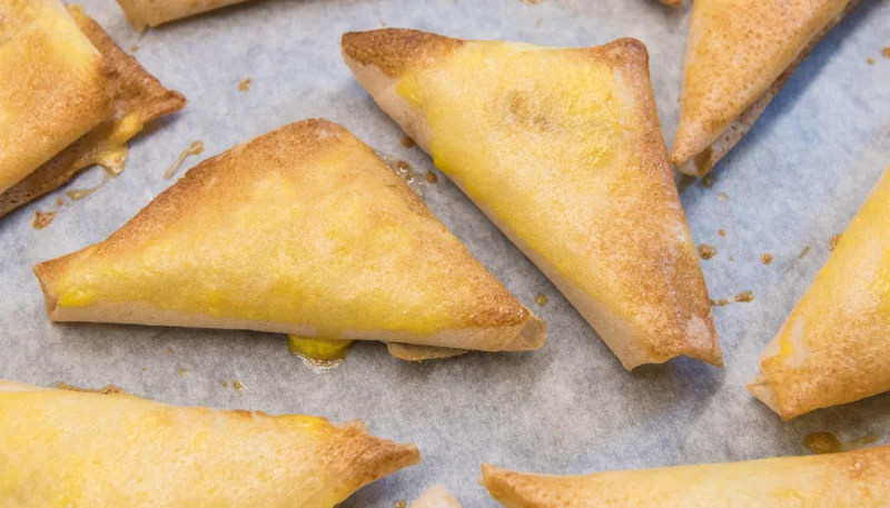 Brick au chèvre et à l'artichaut