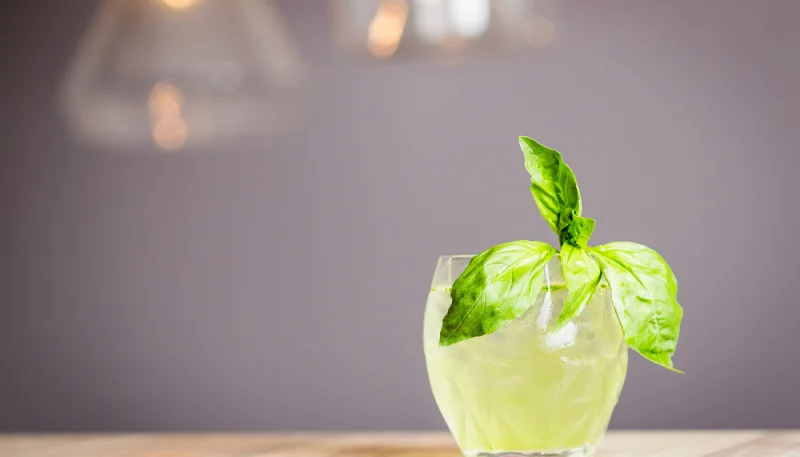 Cocktail Wild cucumber