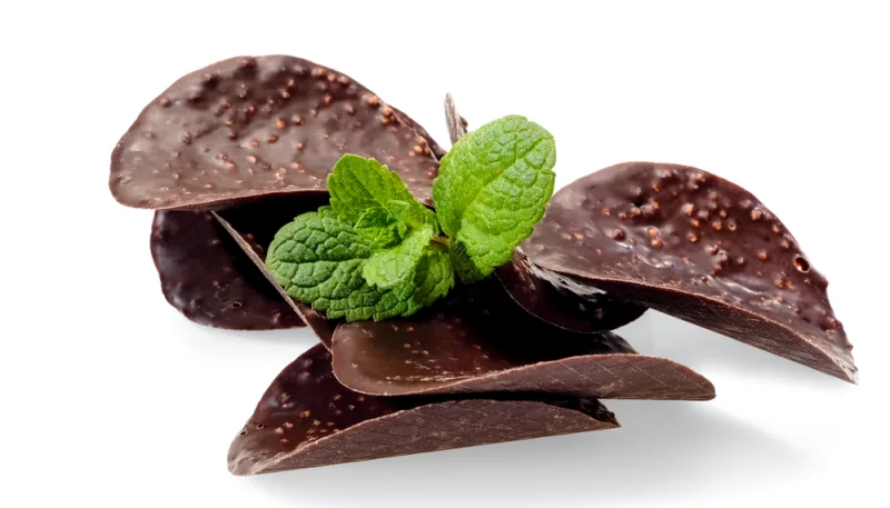 Tuiles au chocolat noir