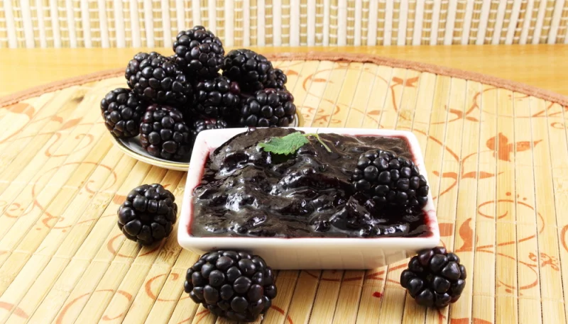 Gelée de mûres sauvages