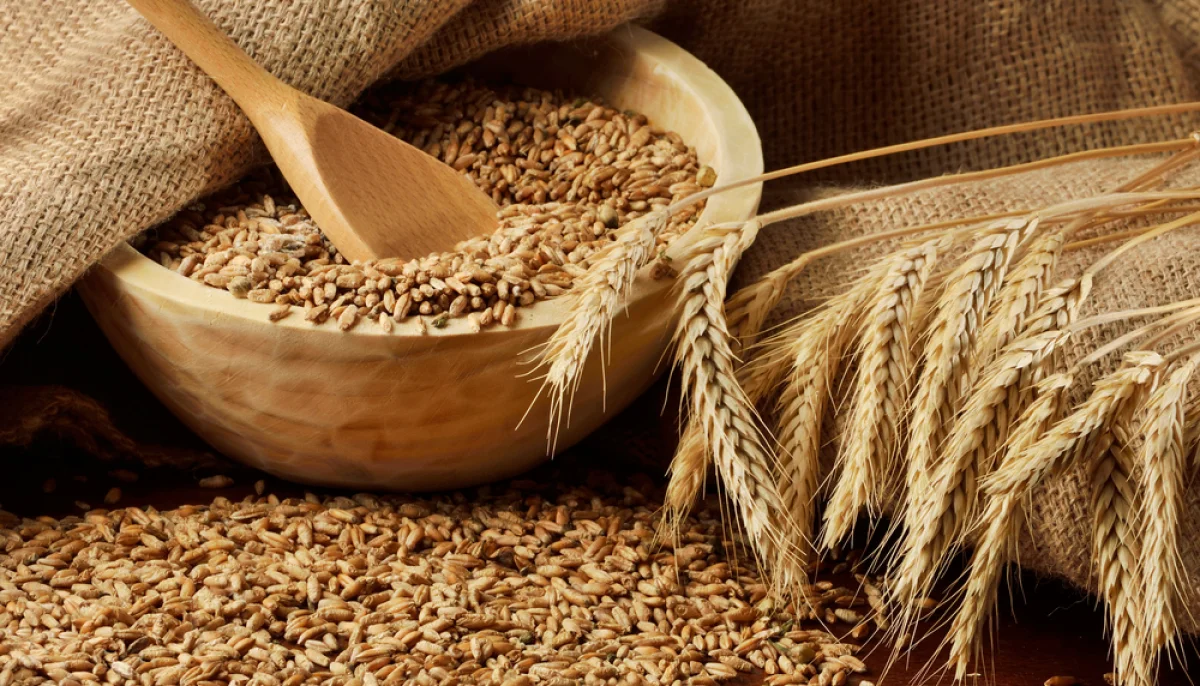 Les céréales sont-elles indispensables à notre alimentation ?