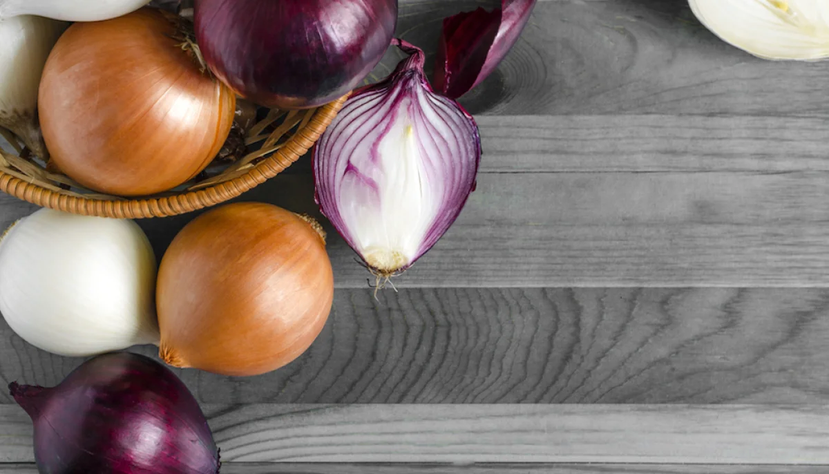 Quelles sont les différences entre les oignons rouges, blancs et jaunes ?