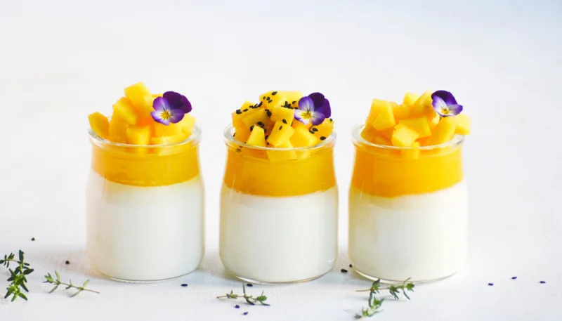 Panna cotta à la mangue