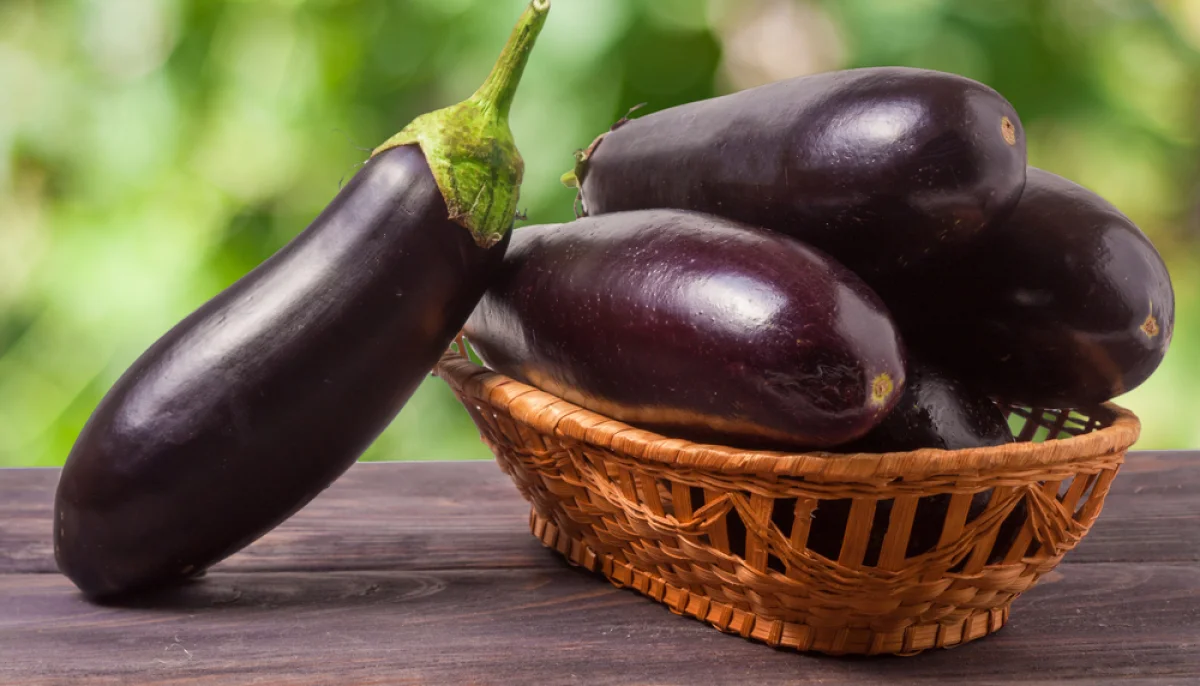 L'aubergine