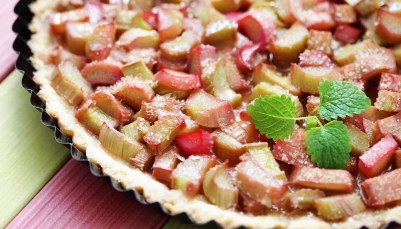 Tarte à la rhubarbe sans crème et sans œufs