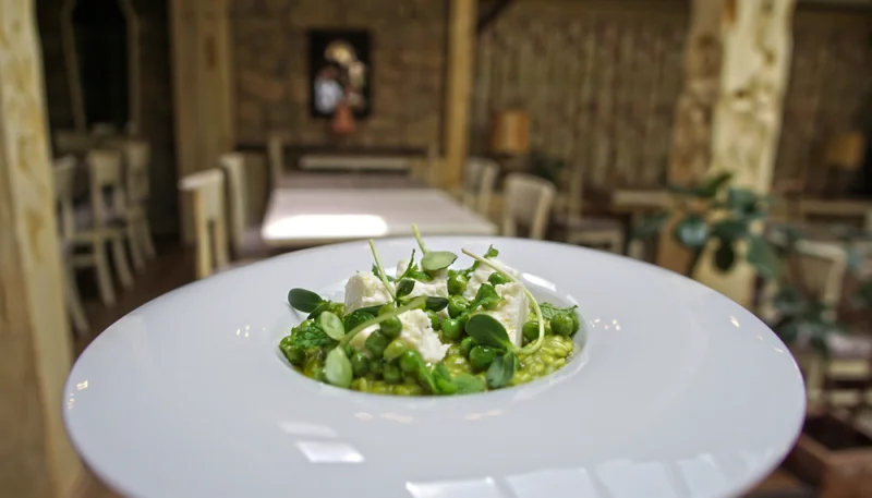 Crème de petits pois et burrata