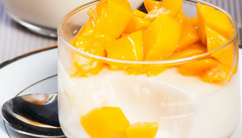 Panna cotta au melon et au miel