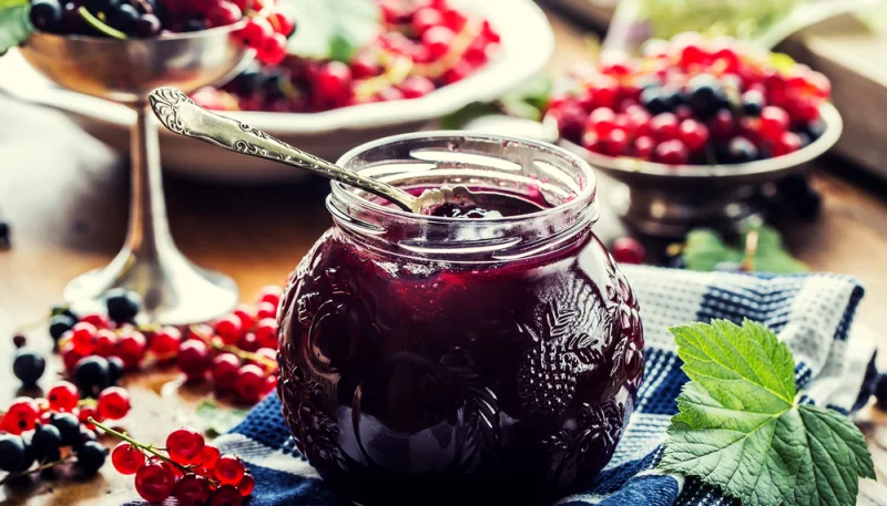 Compote cassis-groseille