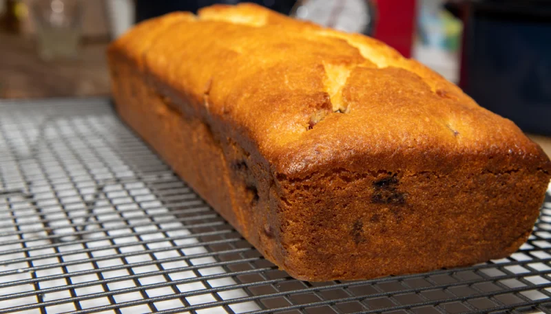 Cake à la tomate et mozzarella