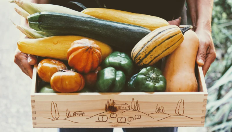 Septembre : top 5 des légumes du mois