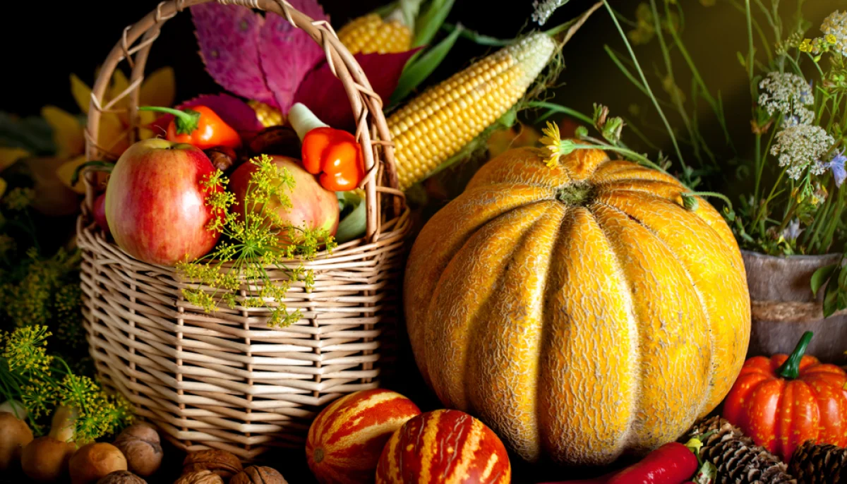 Octobre : top 5 des légumes du mois