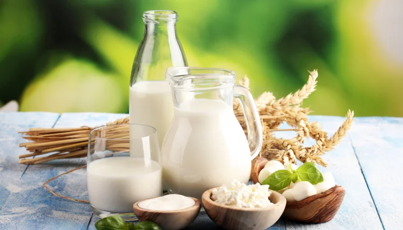 Food : 3 bonnes raisons de préférer les produits au lait de chèvre et de brebis