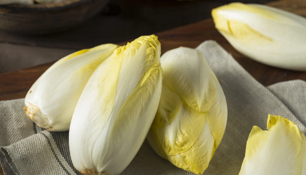 L'endive