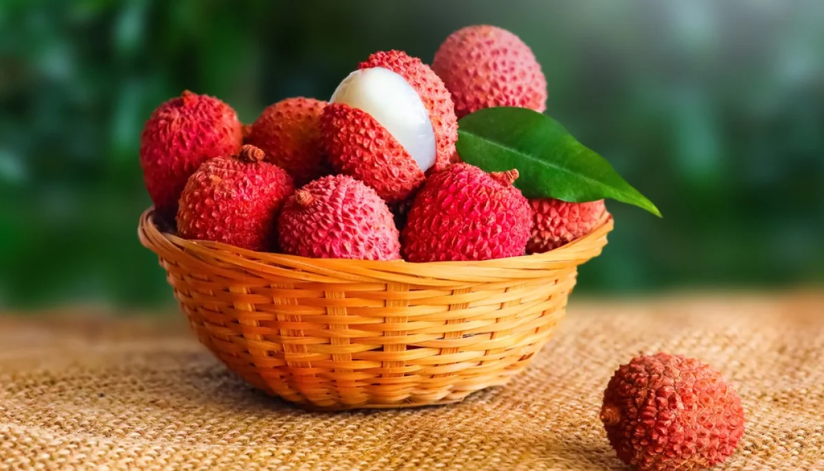 Le litchi