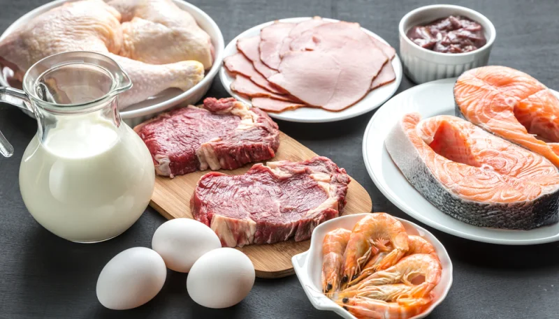 Découvrez le régime Dukan, le plus connu au monde !