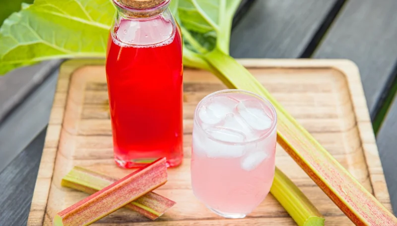 Sirop de rhubarbe