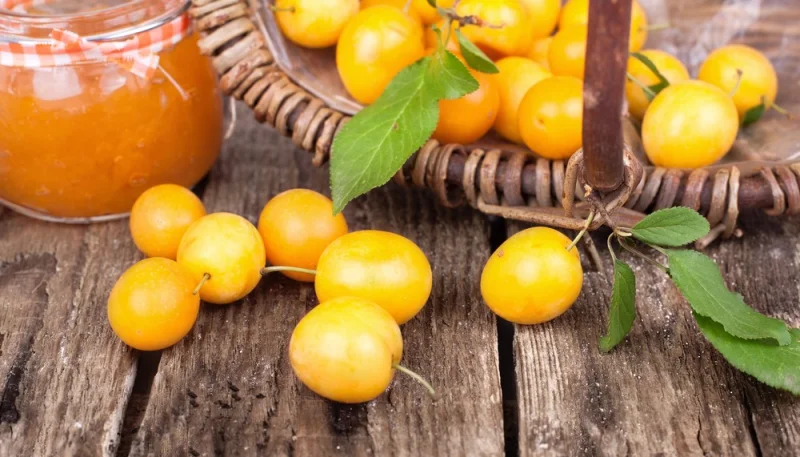 Confiture de prunes jaunes