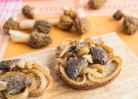 Croûte aux morilles