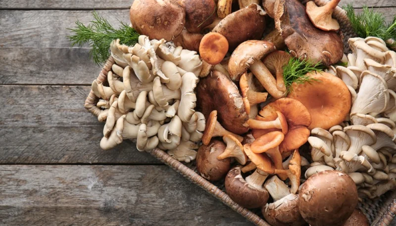 3 choses à savoir avant de consommer des champignons