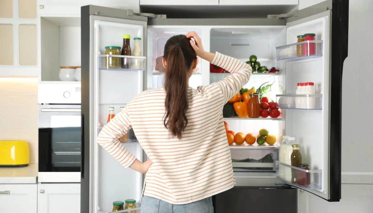 Risque de coupures d'électricité : comment sauver ses aliments du frigo et du congélateur ?