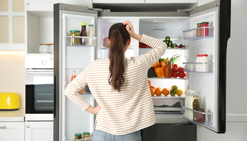 Risque de coupures d'électricité : comment sauver ses aliments du frigo et du congélateur ?