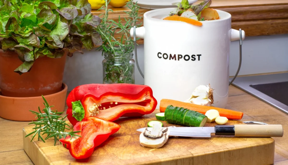 Comment recycler ses restes facilement et sans gaspillage