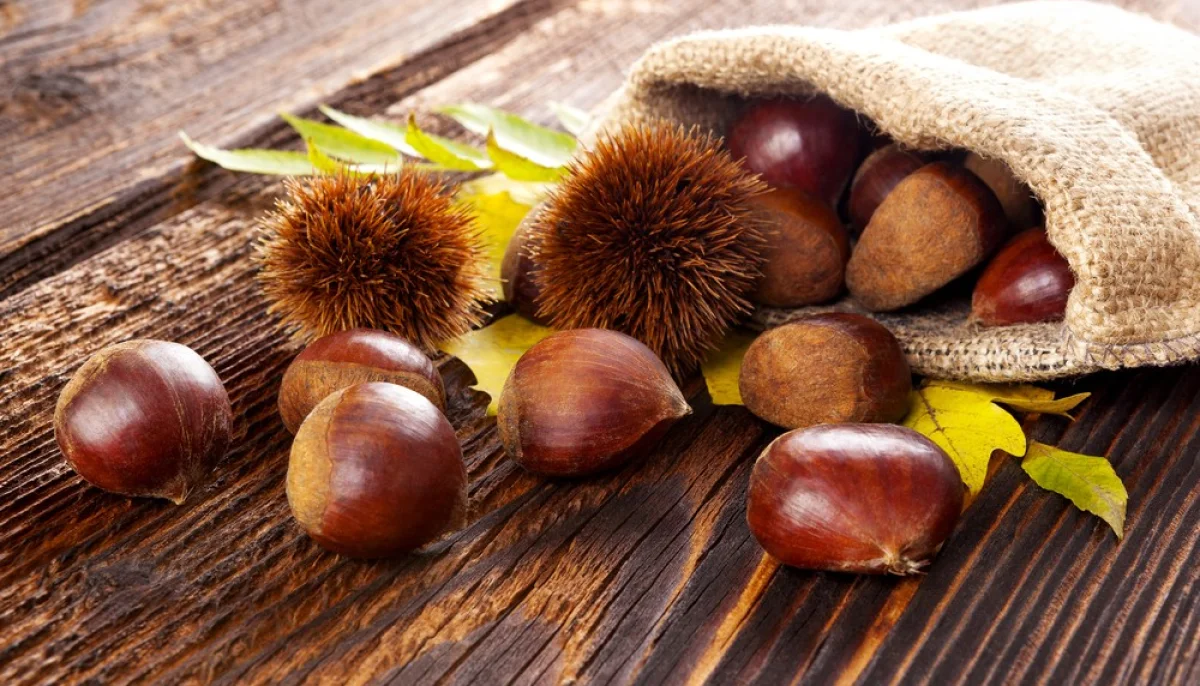 Les secrets de la cuisson des châtaignes : méthodes et astuces