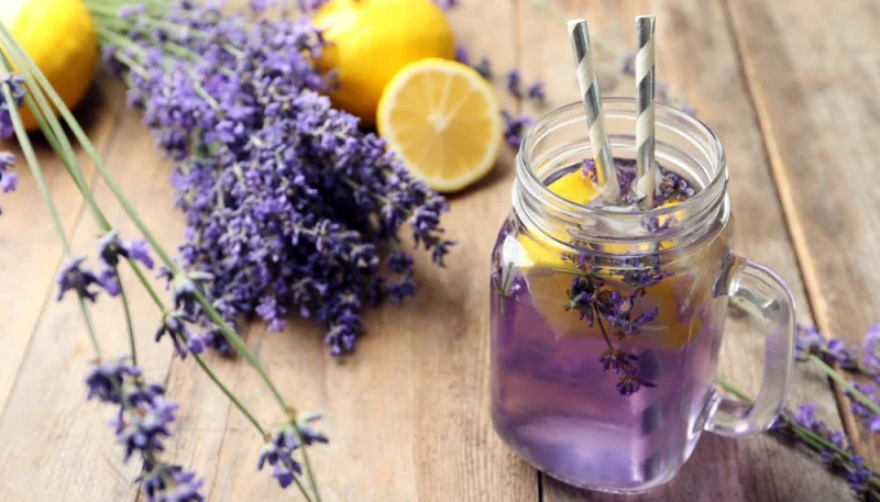 Limonade à la lavande
