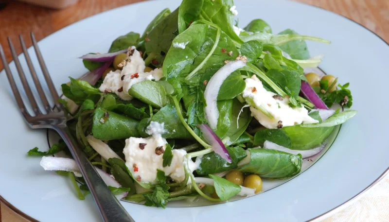 Salade de lentilles avec des dés de fromage de chèvre