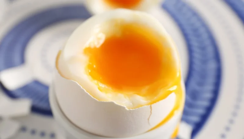 Œuf d'oie à la coque