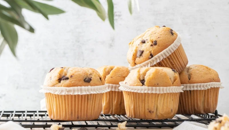 Muffins au chocolat et noisettes