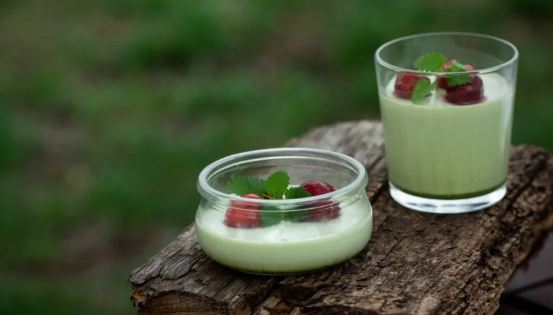 Panna cotta au thé matcha