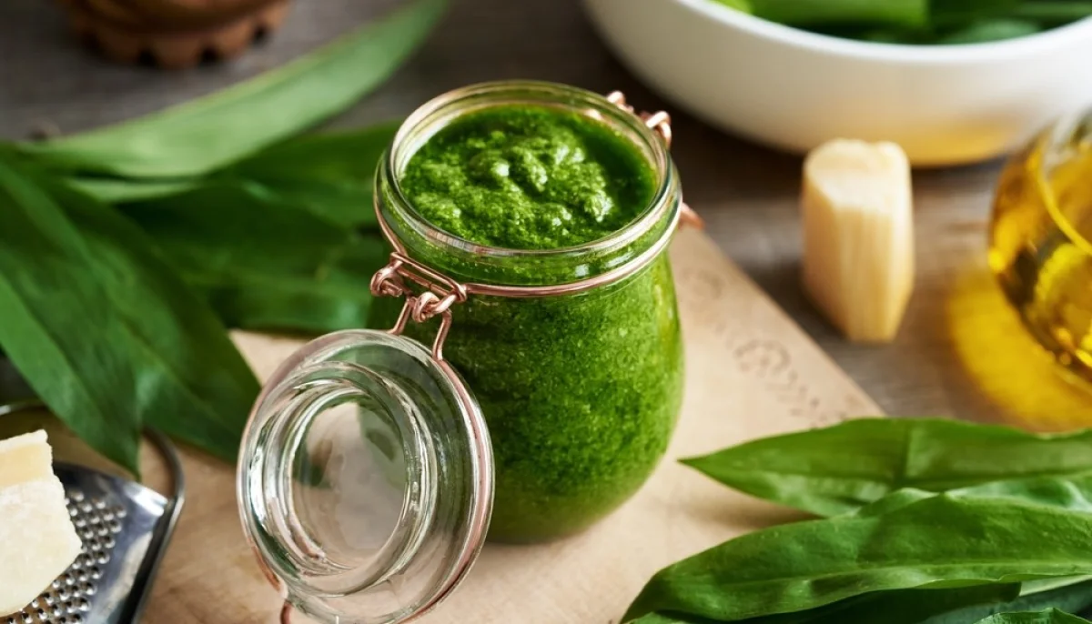 L'Ail des Ours : Tout savoir sur cette Plante Sauvage à la mode